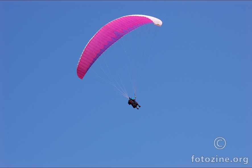 pinki na plavom