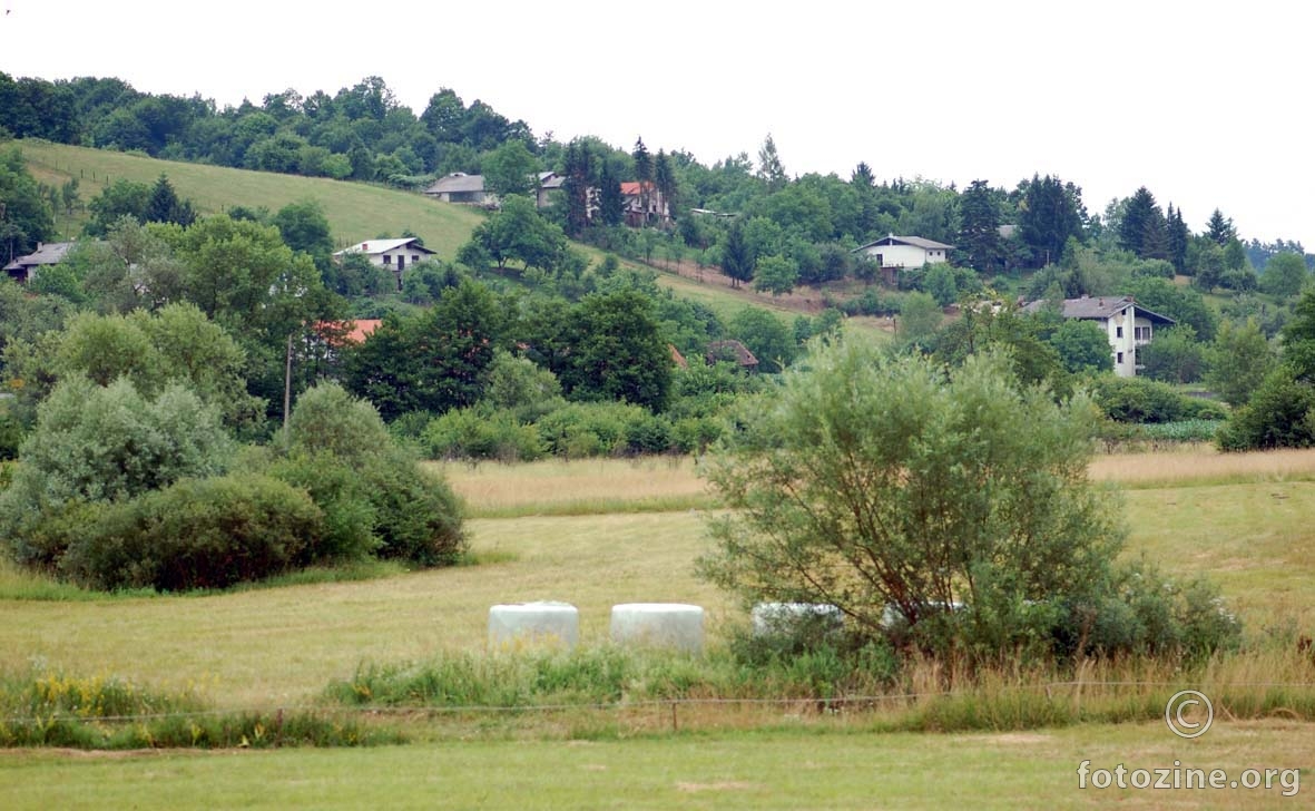 oko Korane