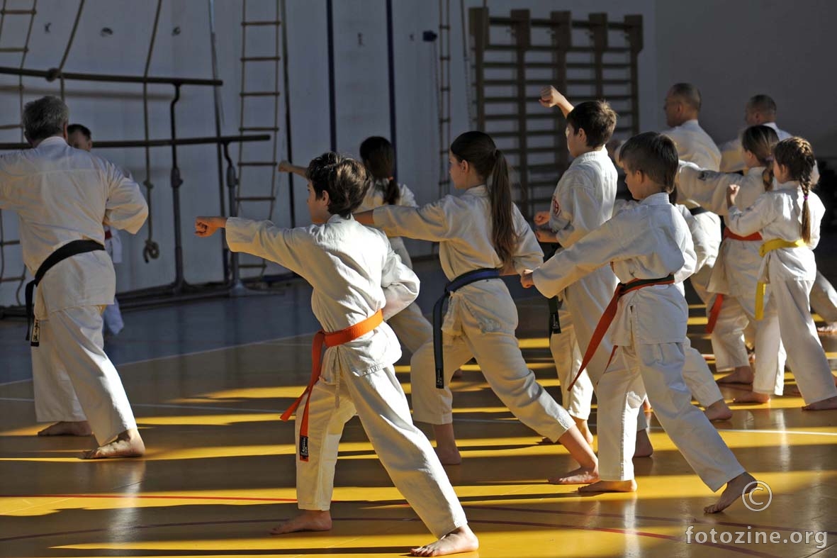 karate seminar