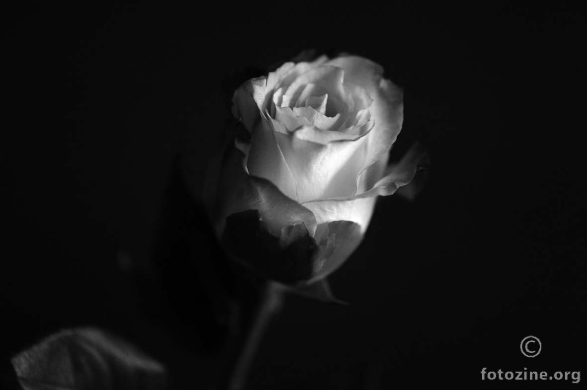 RIP Zlatko Šaračević