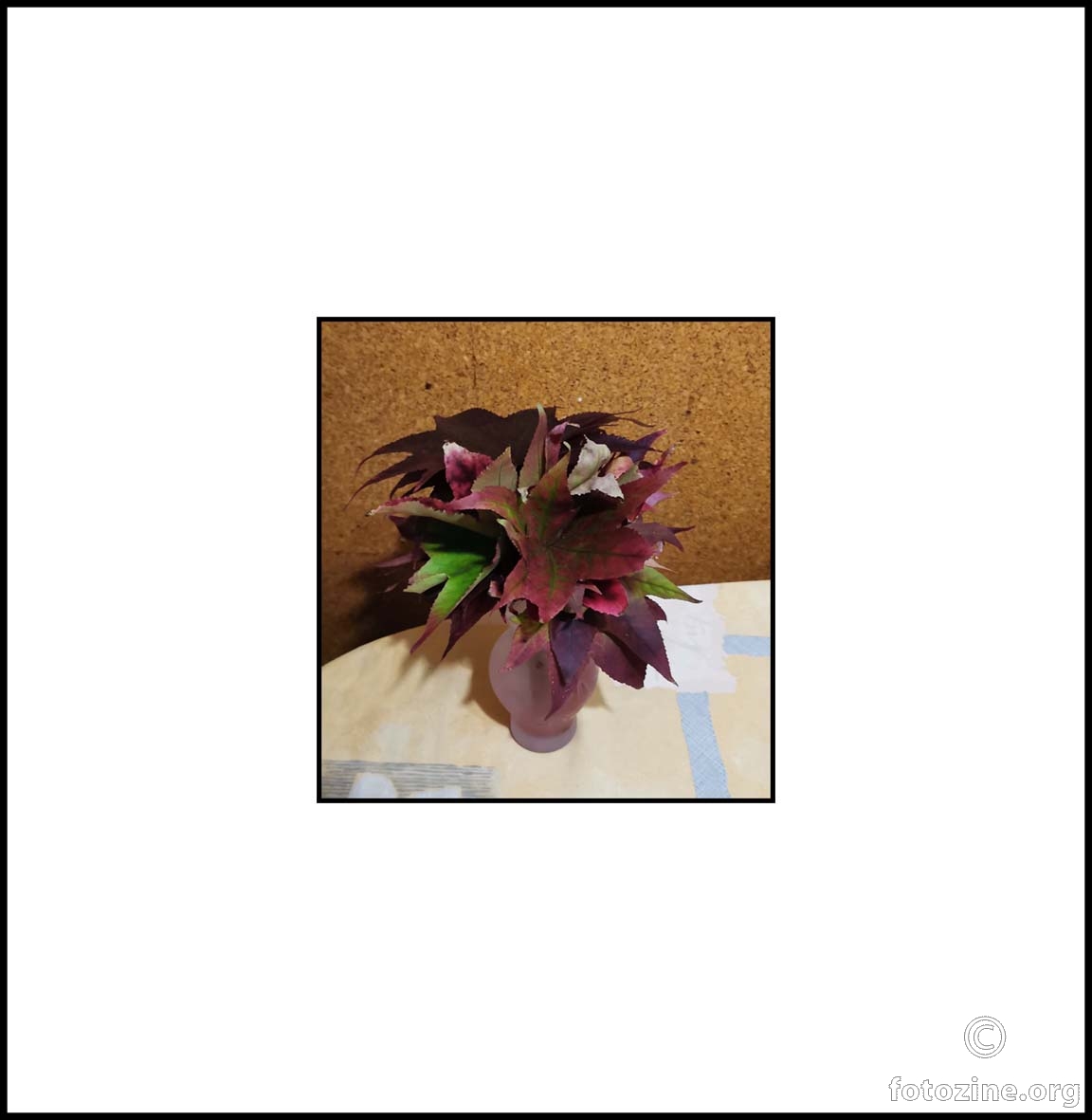 jesen na mojem stolu