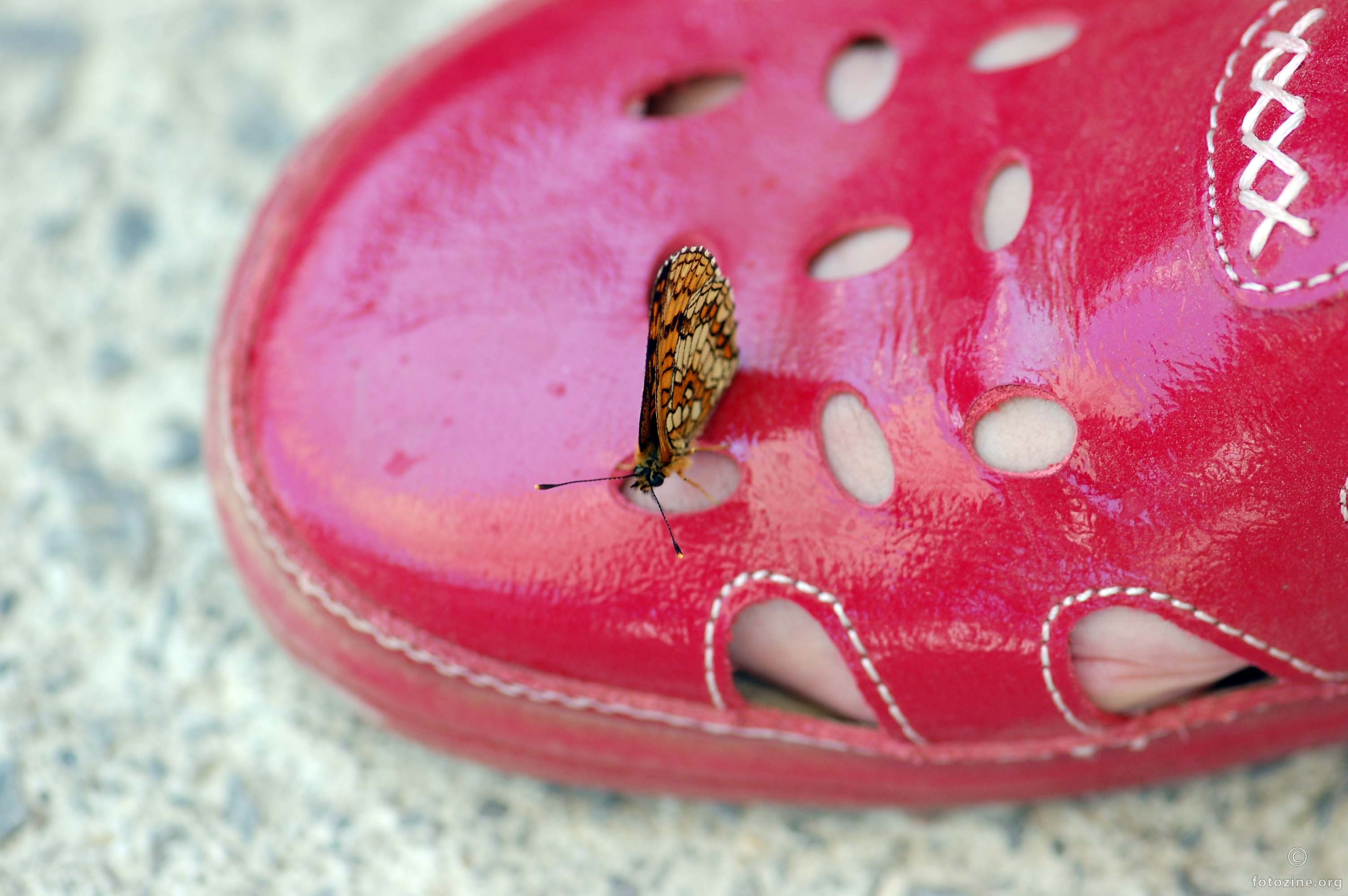 leptir voli cipele...