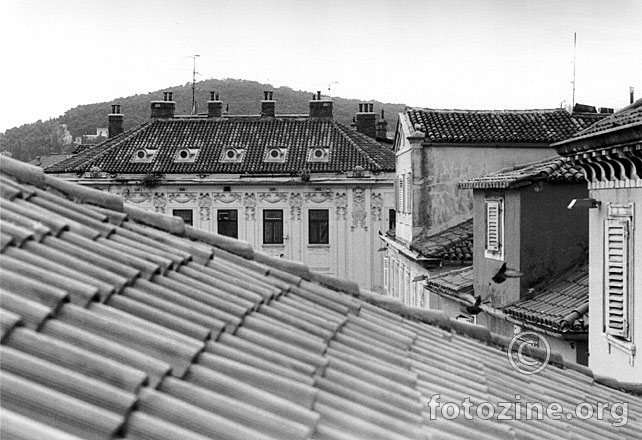 foto br. 436