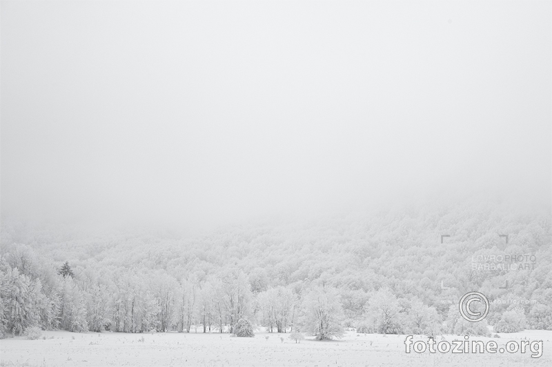 white & white