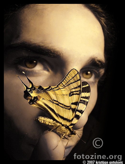 Butterfly effect  2