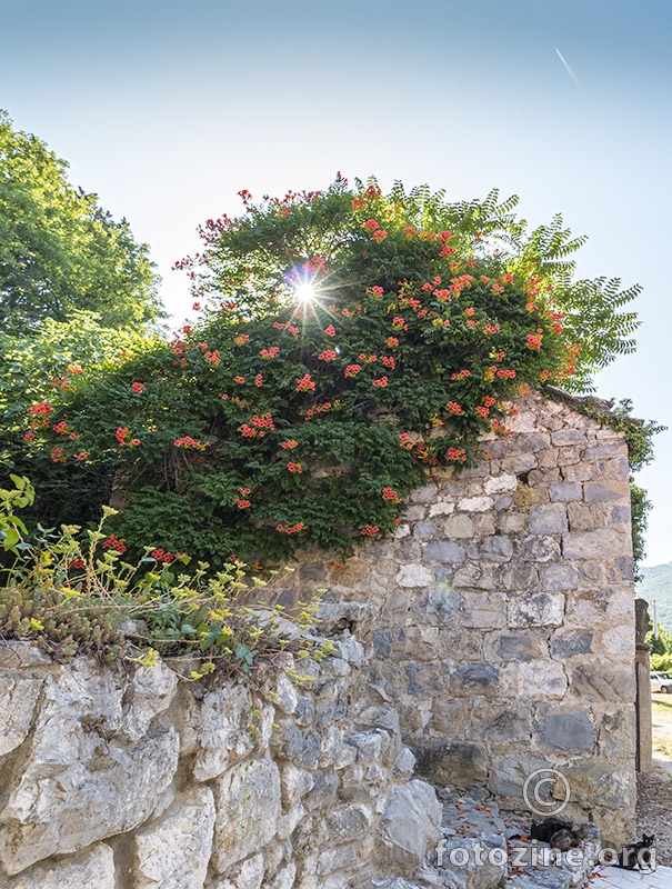 Dalmacija 2019.
