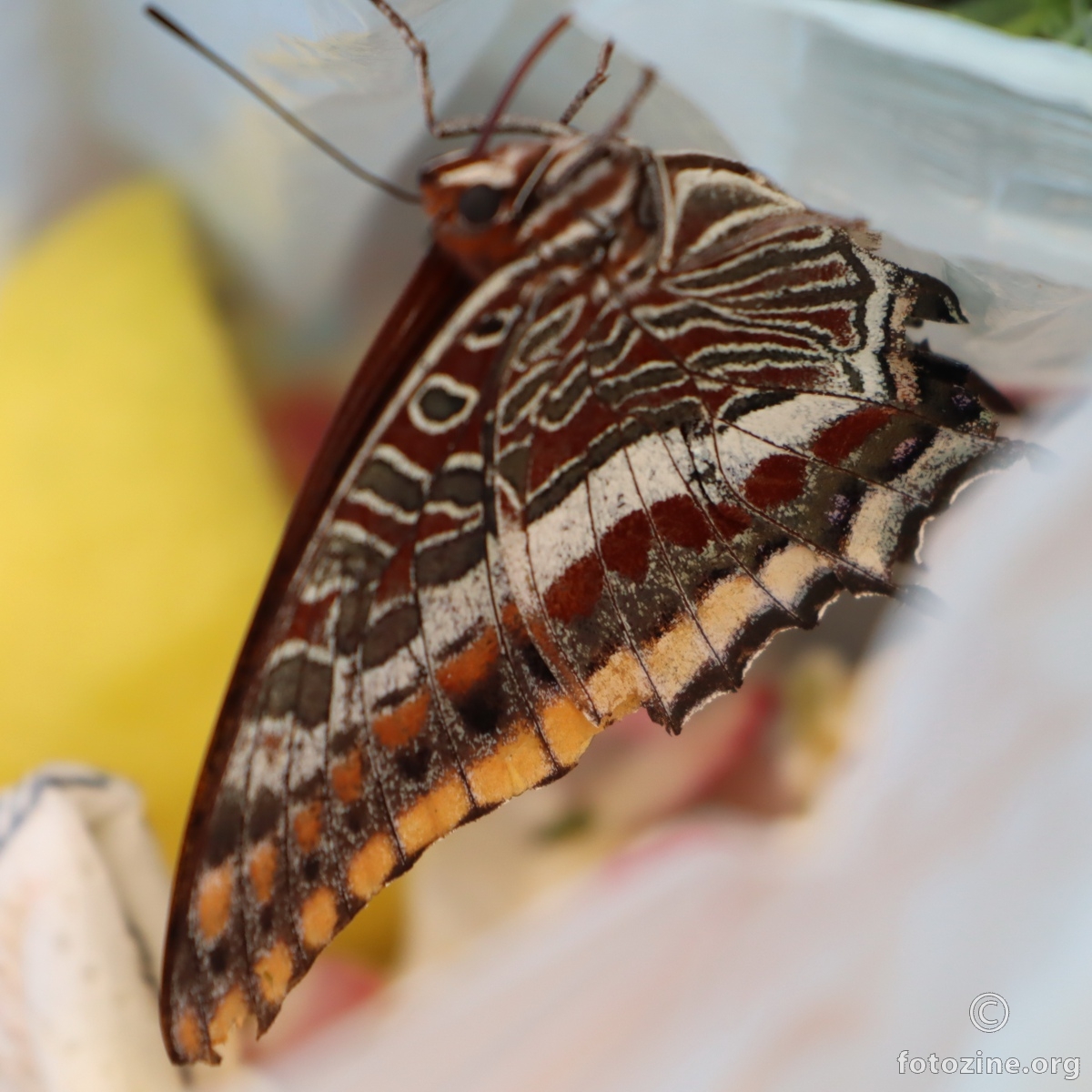 doletio jednom i nestao