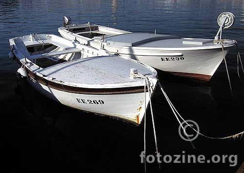 foto br. 474