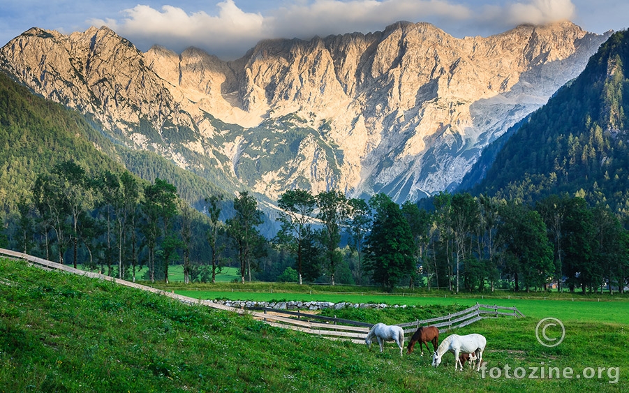 Logarska dolina