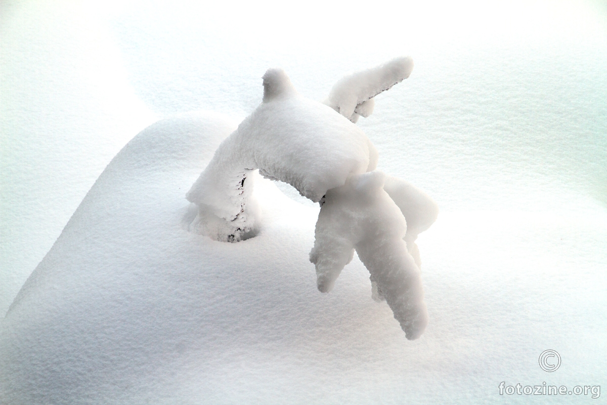 Snježni model