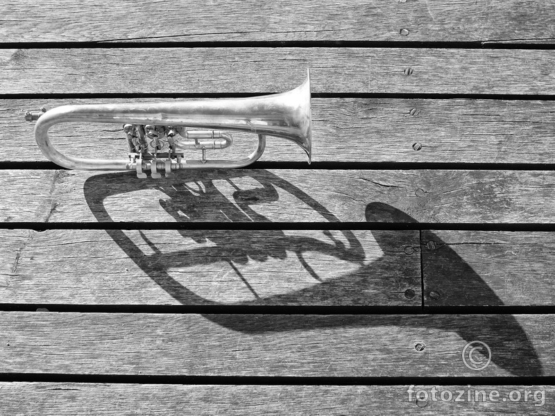 Trumpet Left Alone