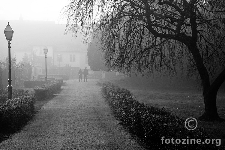 Jutarnja šetnja u magli