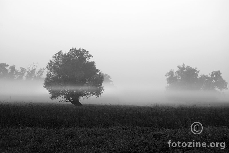 moje jutro...