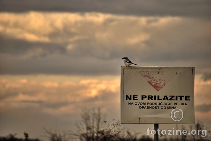život u mrtvoj prirodi