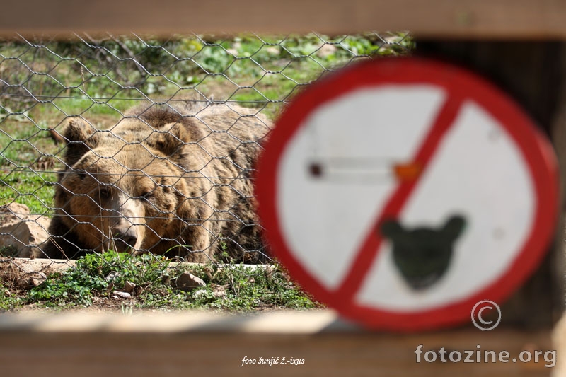 zabranjeno pušenje medvjedima