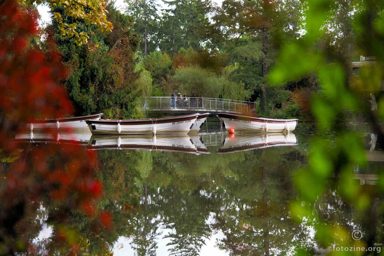 foto br. 769966