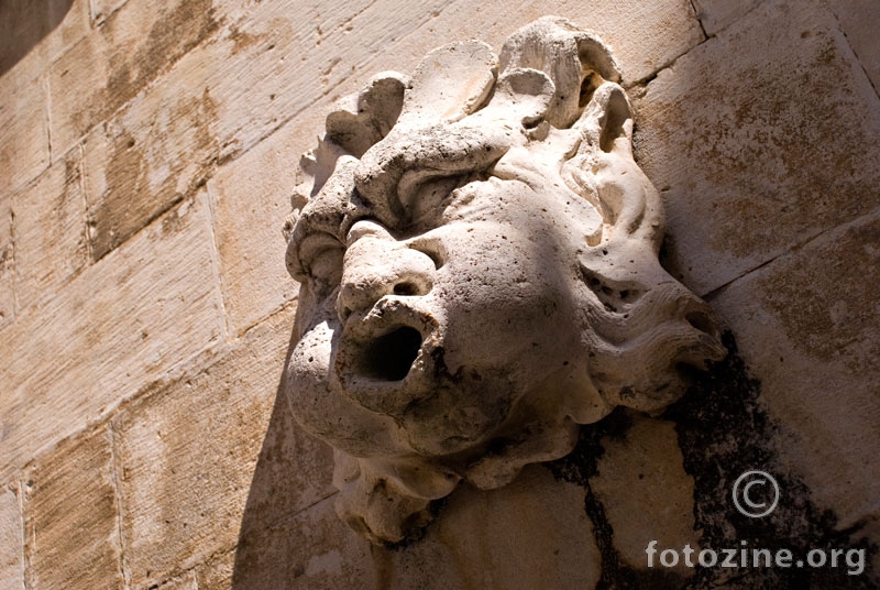 Kip u Dubrovniku