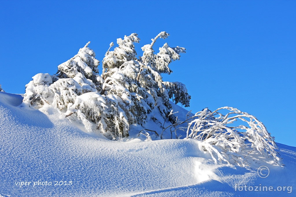 jahorina 3