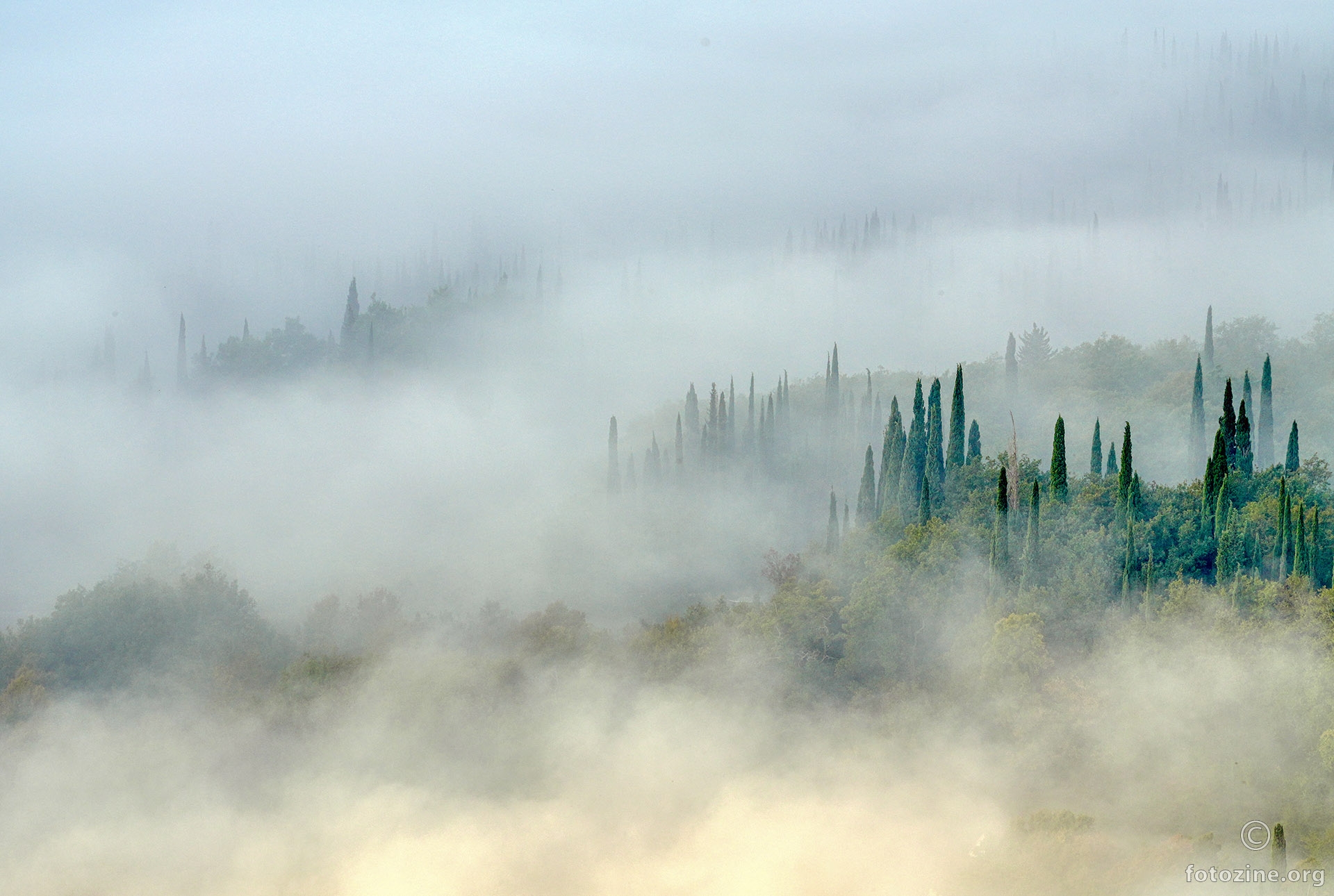 jesenje jutro u ljutoj