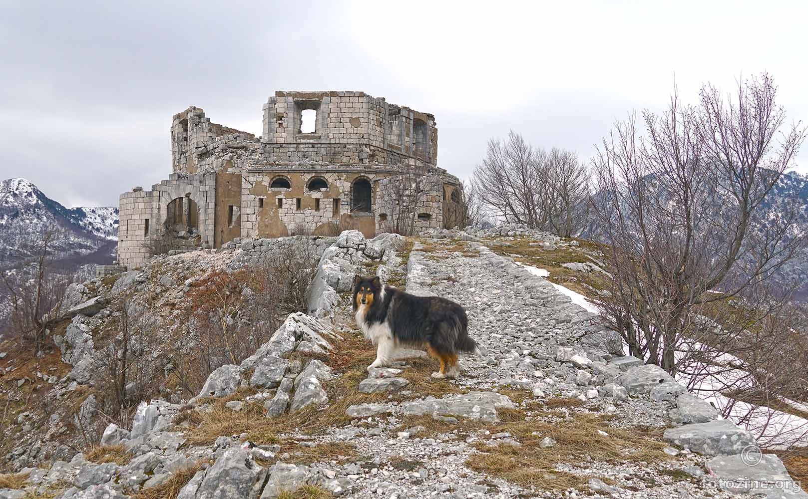 piper i stražnik