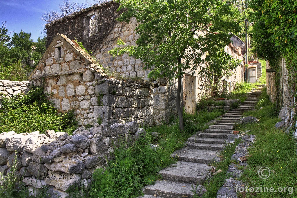 stara čajkovica