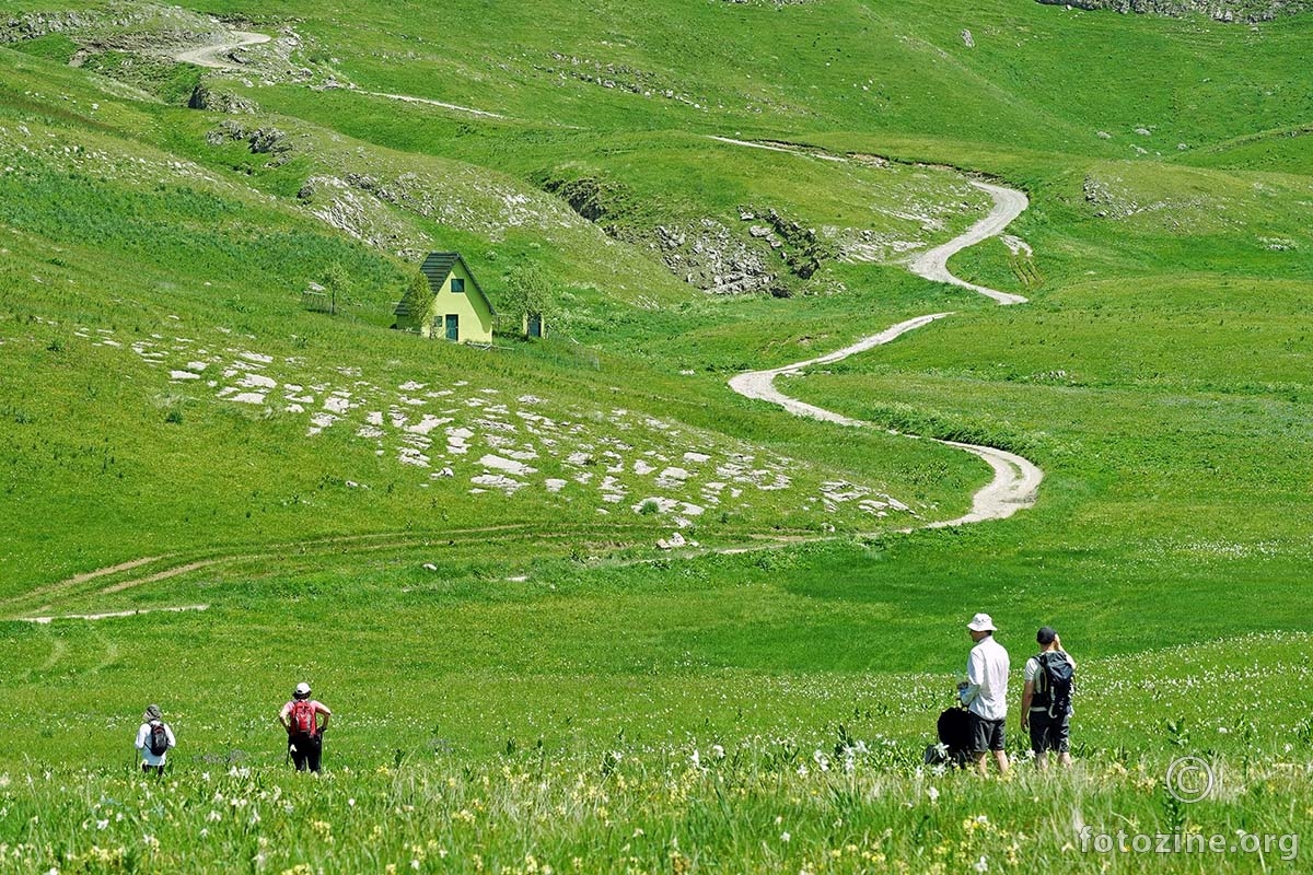 zov slobode 2
