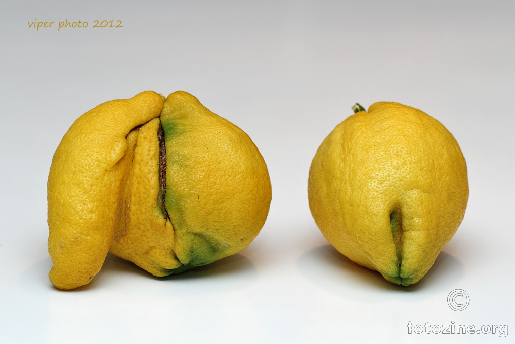 Mr. and Mrs. Lemon