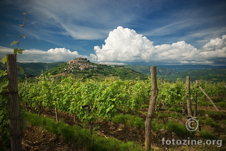 Opet Motovun...