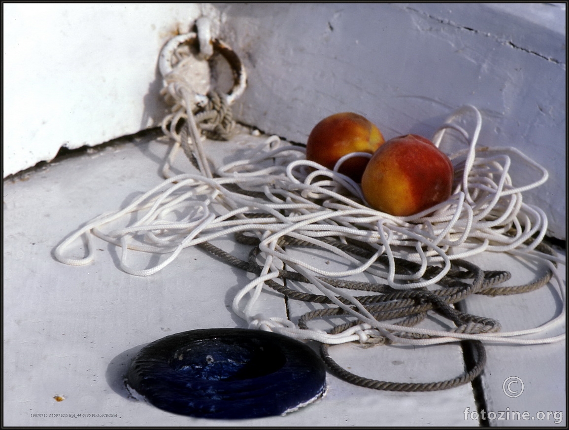 Ljeto. Bol. 15.VII.1987. - 8 