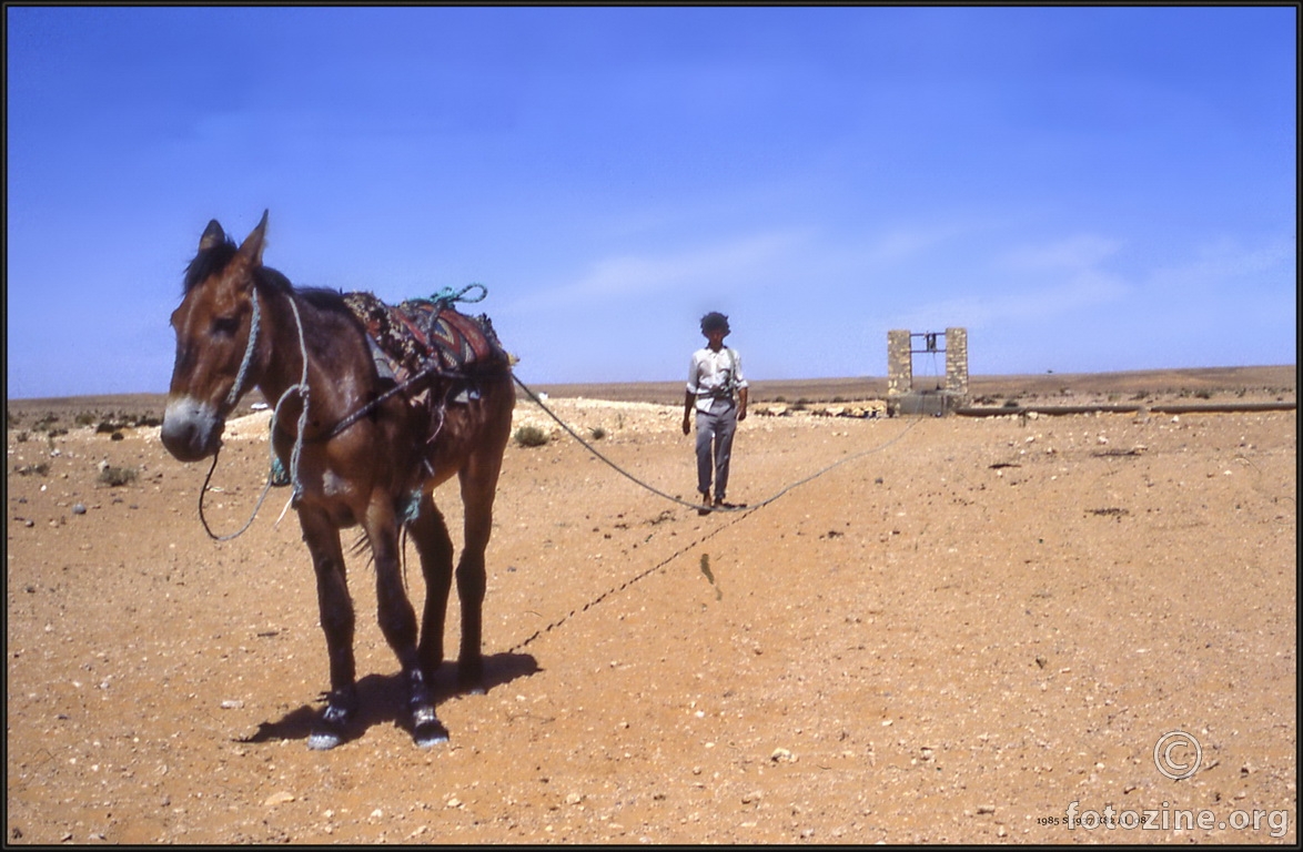 Središnja Sahara Bunar Voda 1985 S 1937 K82 