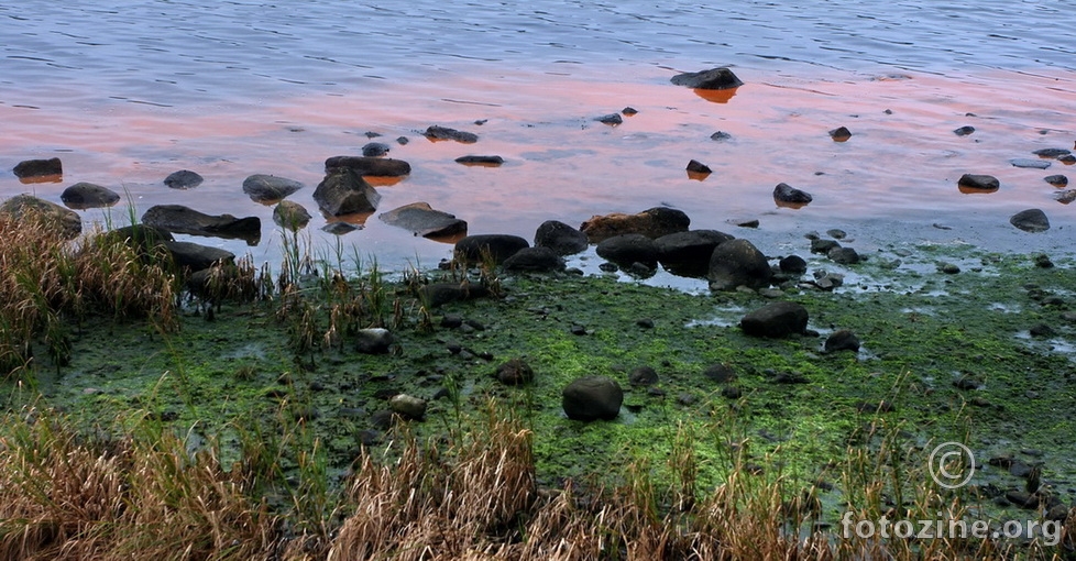 Dio plaže južna Švedska prirodne boje... 2007