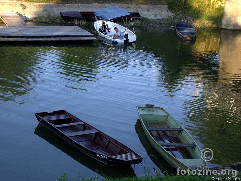 Ljeto u Vukovaru (1)