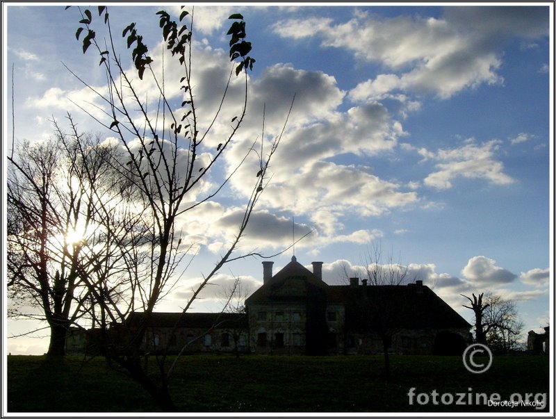 Dvorac Eltz u Vukovaru