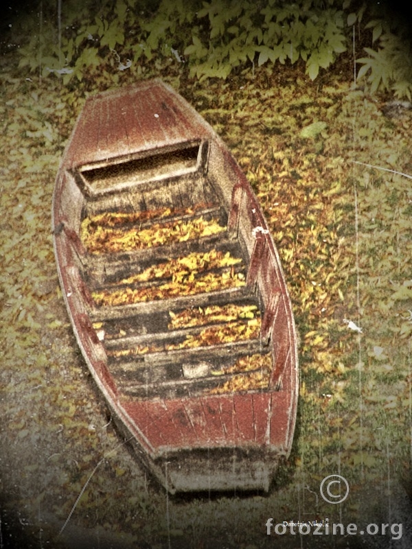 Čamac na obali Vuke