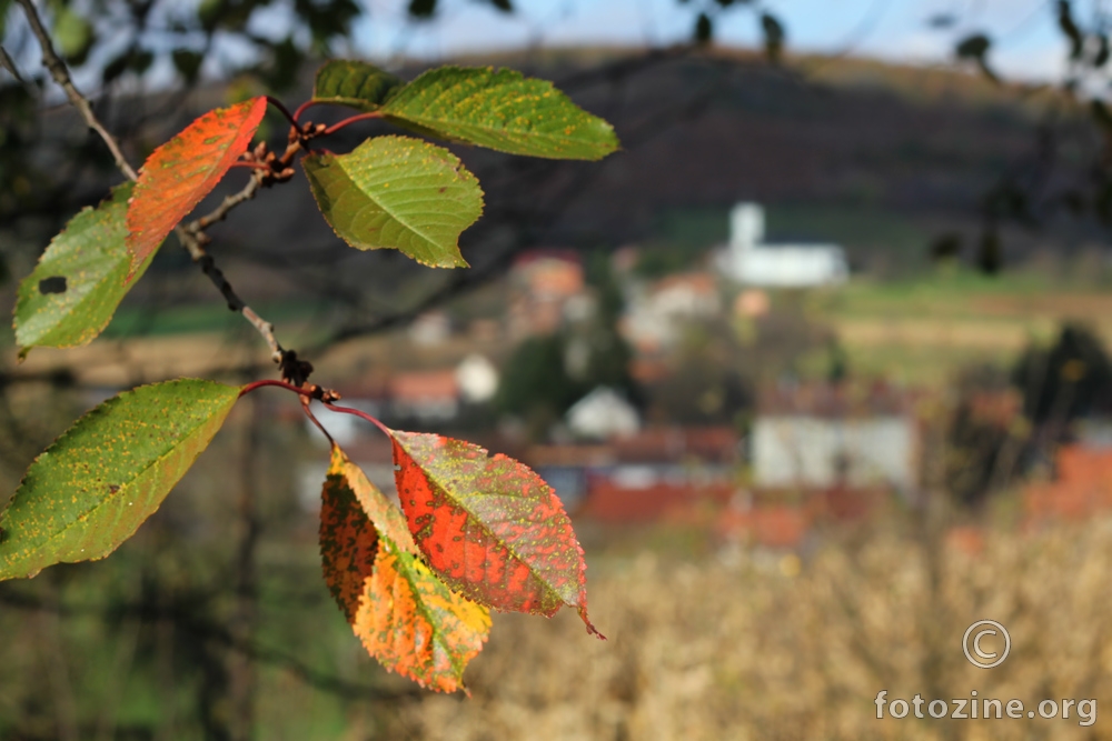 jesenja vizura mog malog sela