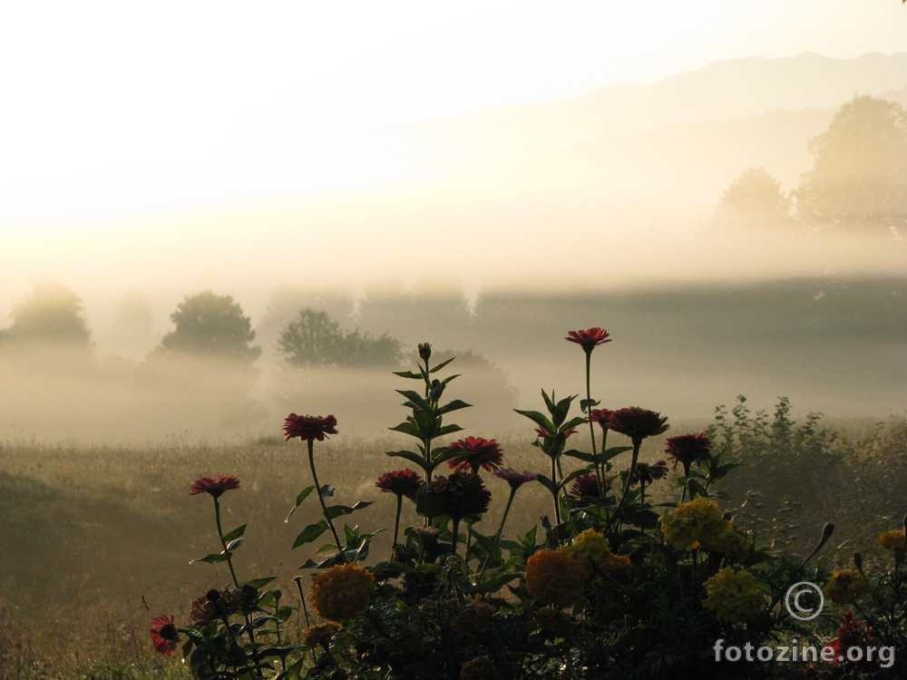 šareno jutro u magli