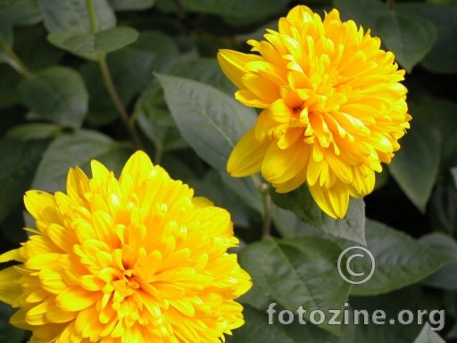 foto br. 3745