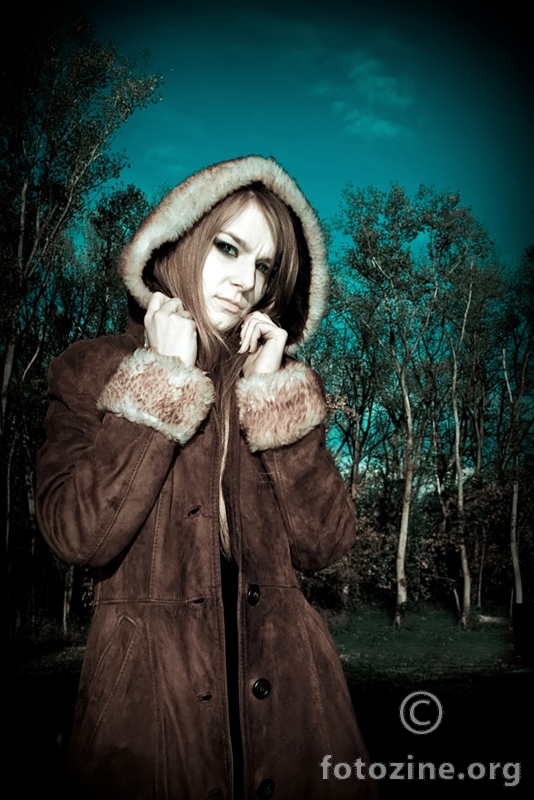 foto br. 308956