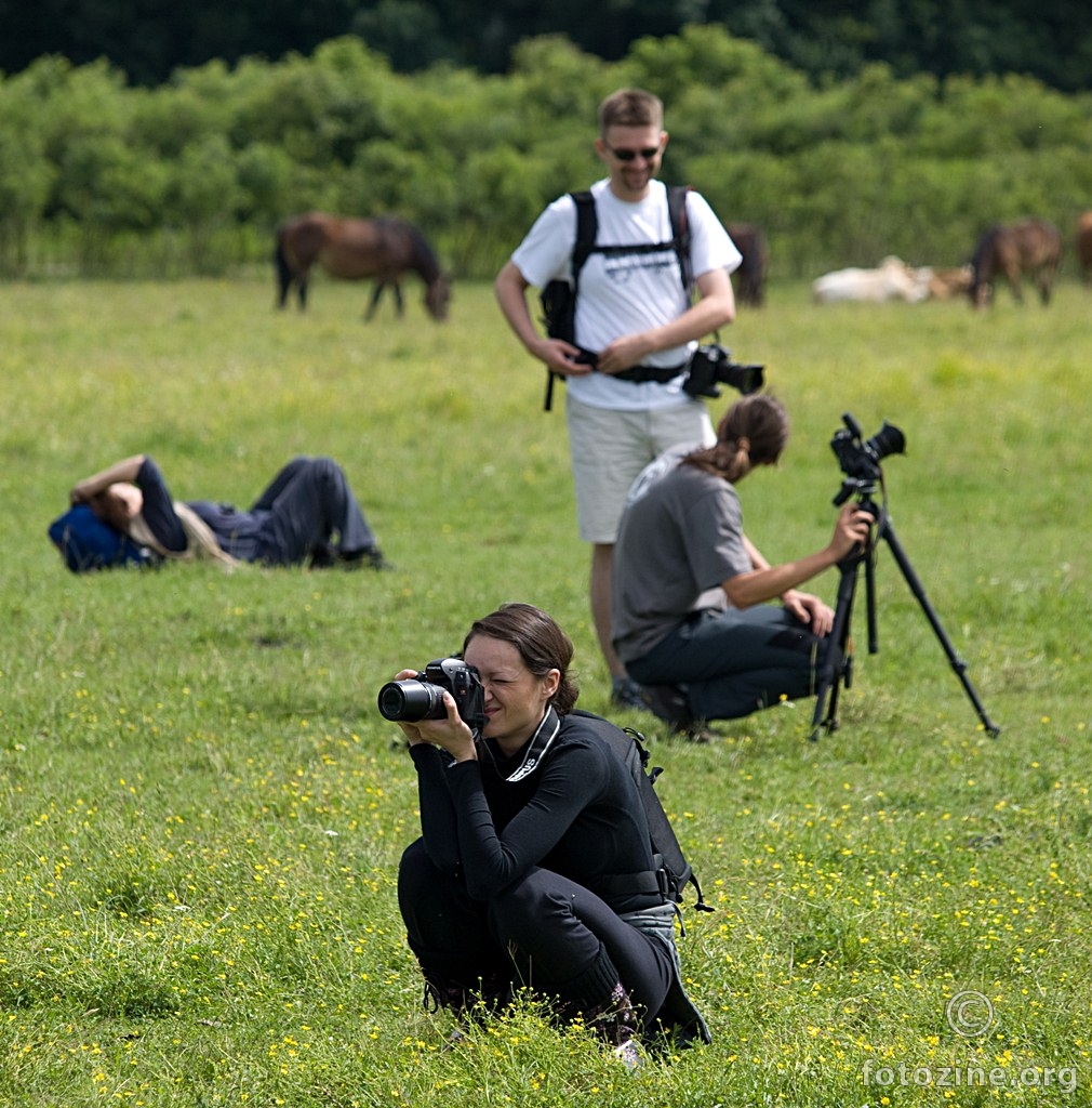 foto - safari ili ...