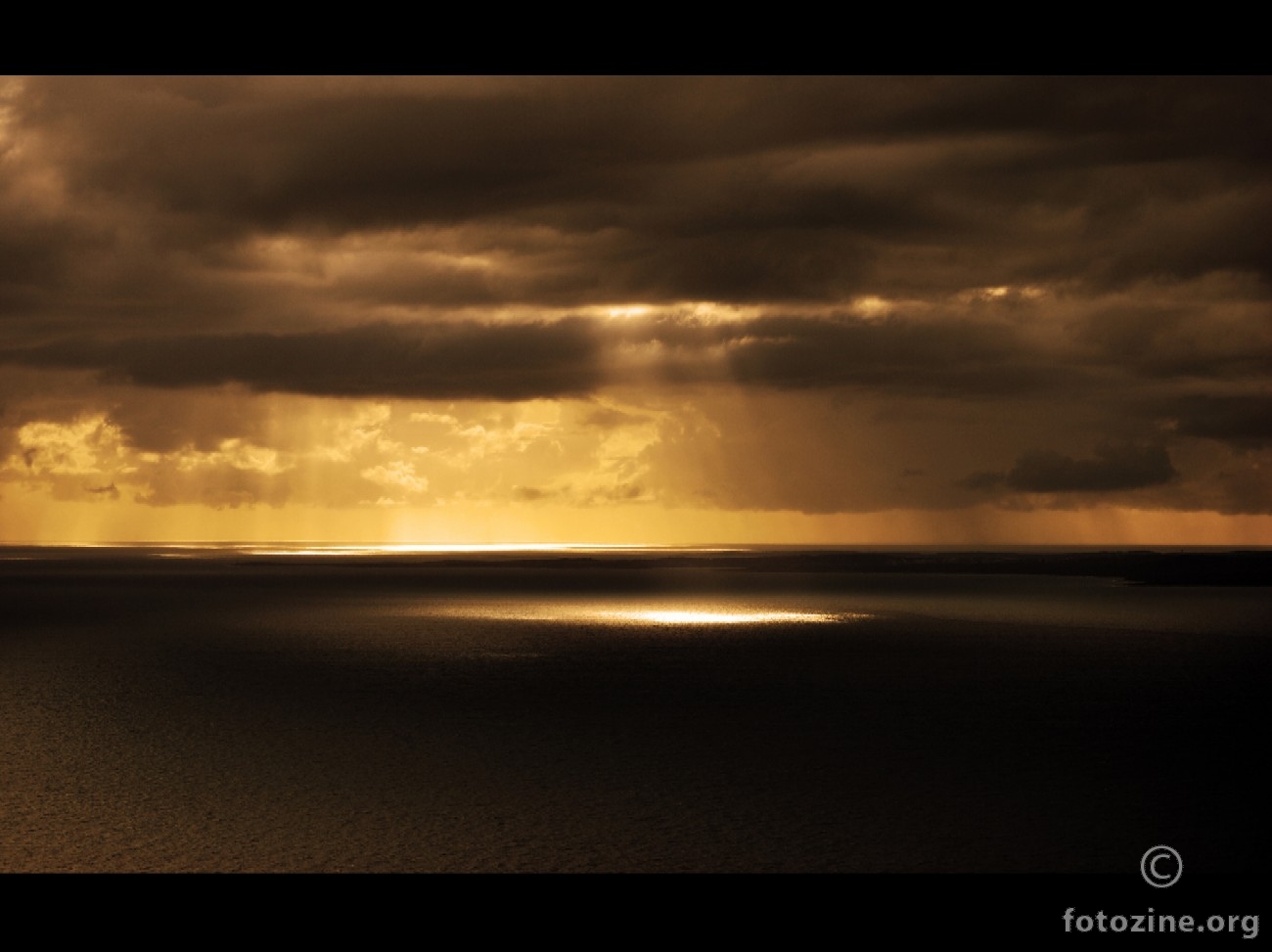 The Light