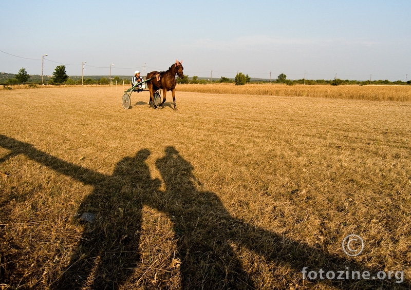 Dva fotografa i jedan konj