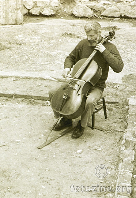 Violončelo