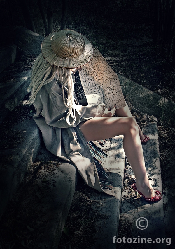 Lost In Safari