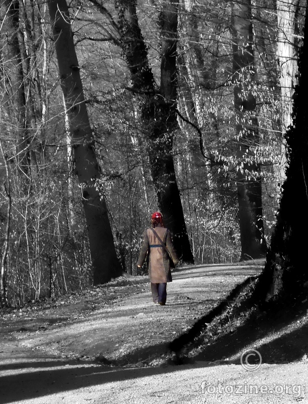 walker in the woods