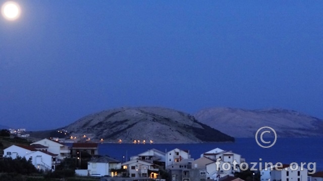 Puna morska Luna