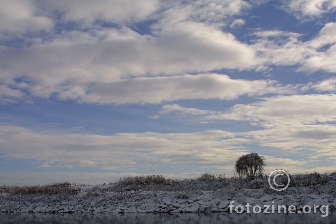 Drava (03)