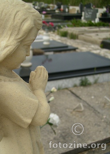 foto br. 256414