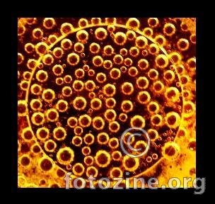 Orange bubbles