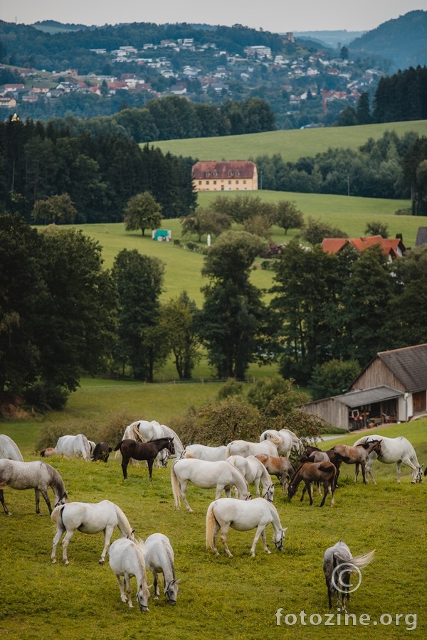 Divna Austrija