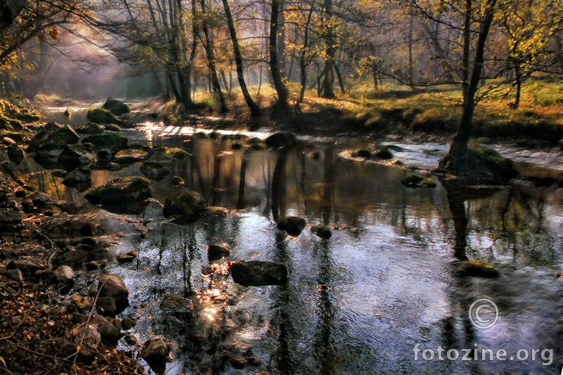 Magica Forest 1